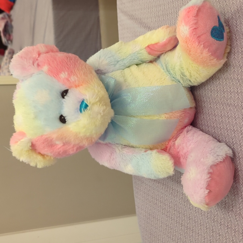 Rainbow teddy bear